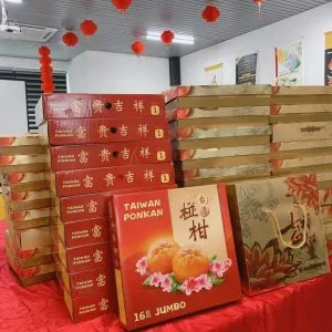 142880139_214811230342988_3424453269639418393_n-300x300