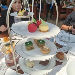 20220819_151547-300x300