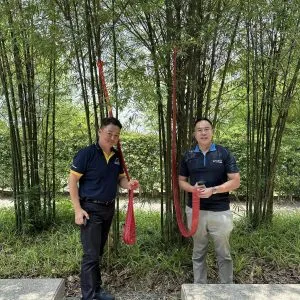 2024甲辰年大伯公千秋宝诞 (14)