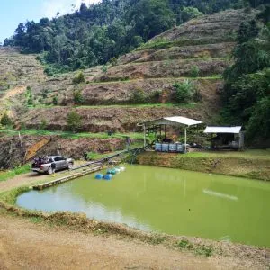 Copy-of-File_002-300x300