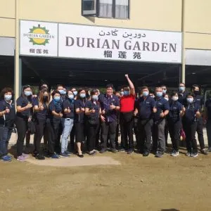 Copy-of-File_003-300x300