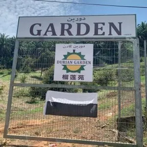 Copy-of-File_006-300x300