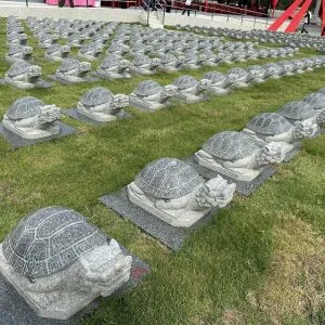 富贵（福报）山庄的龙神开光仪式 (12)