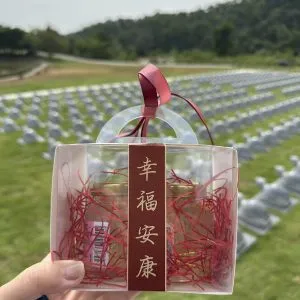 富贵（福报）山庄的龙神开光仪式 (14)