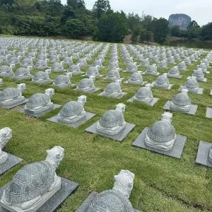 富贵（福报）山庄的龙神开光仪式 (17)