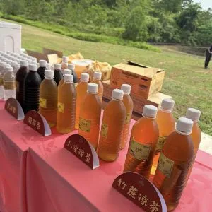 富贵（福报）山庄的龙神开光仪式 (19)