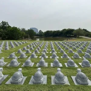 富贵（福报）山庄的龙神开光仪式 (6)