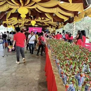 新春年货市集 3.0 @ 富贵莎亚南 (19)