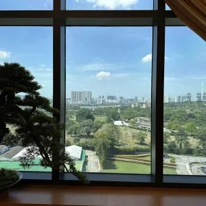 风水大师罗一鸣师父【富鸣轩】 (6)